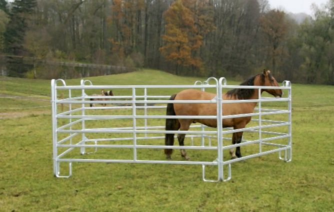 Kerbl Panel - Zaunelement 3,6 m mit Schnell-Kettenverschluss, 442593