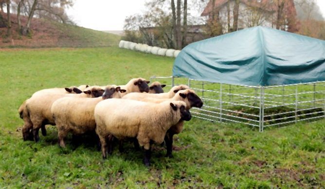 Kerbl Weideunterstand für Schafe und Ziegen, 2,75x2,75m, Komplettset, 442614